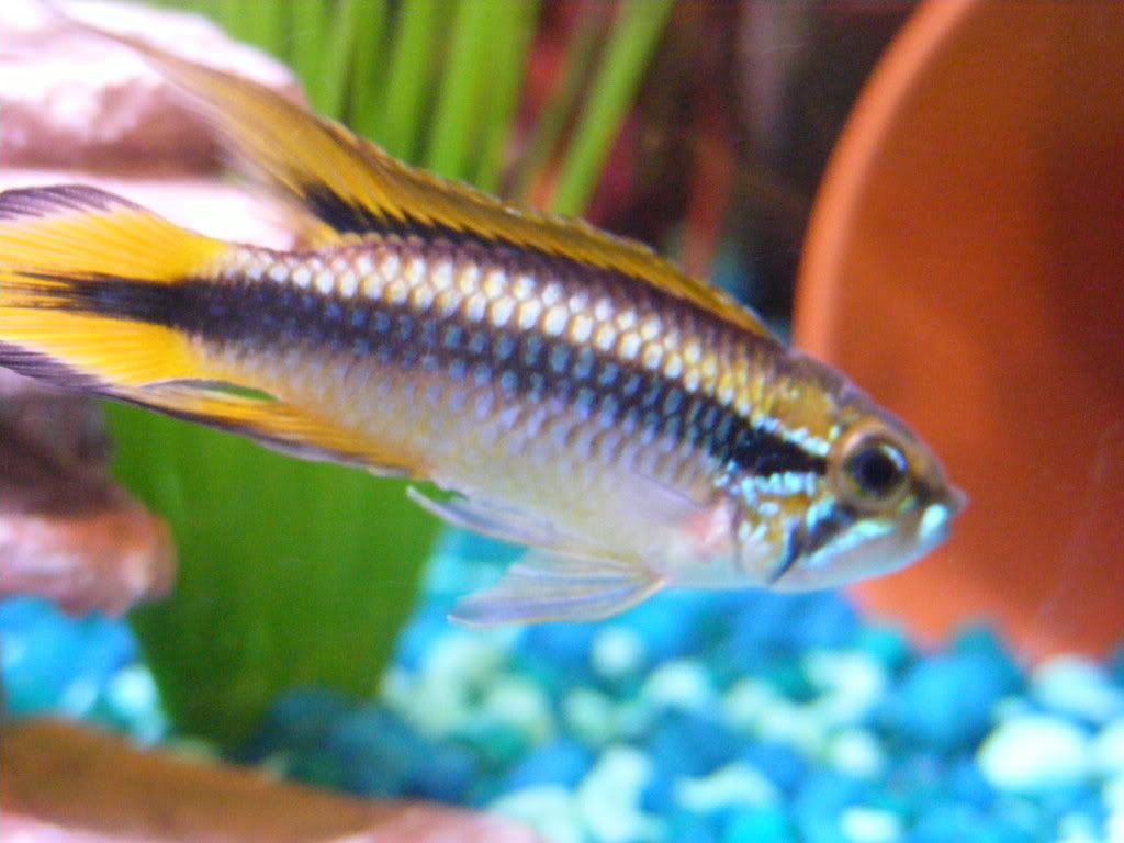 DSCF1328.jpg