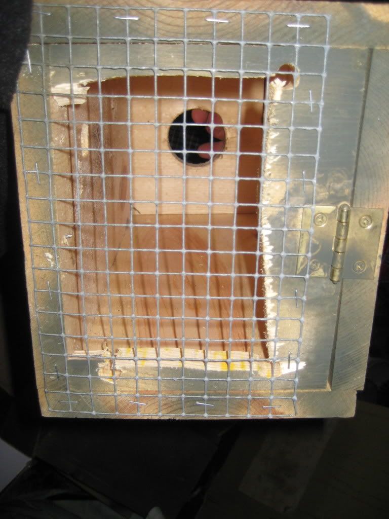 Mink/ Weasel Boxes 4 sale Michigan Sportsman Online Michigan