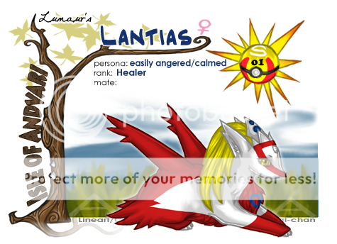 User Image