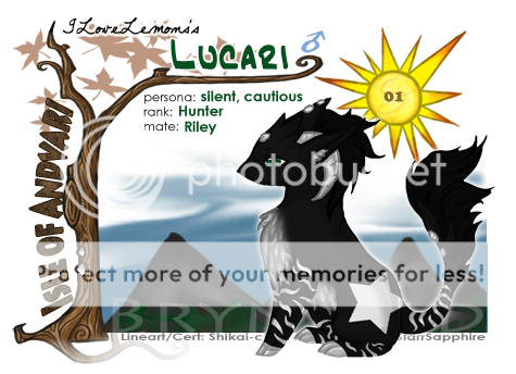 User Image
