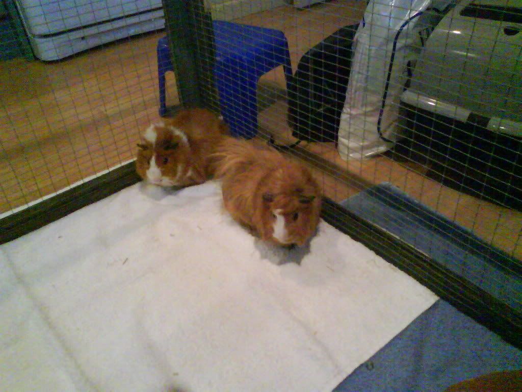 DSC00007.jpg
