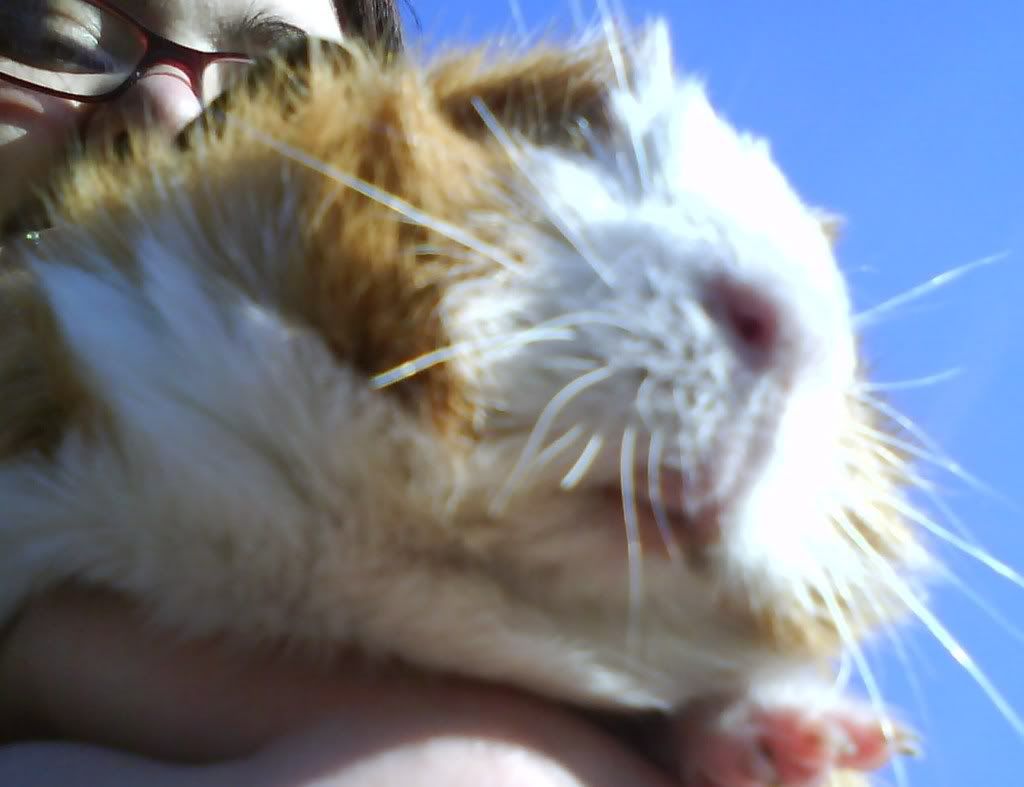 DSC00013.jpg