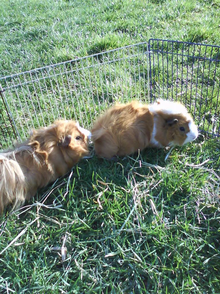 DSC00016.jpg