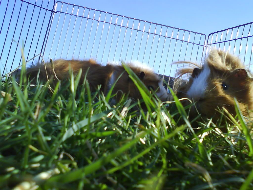 DSC00017.jpg