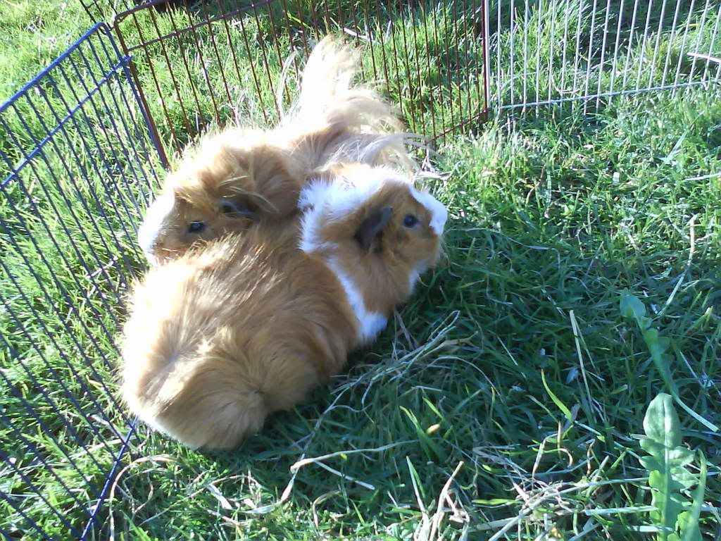 DSC00020.jpg