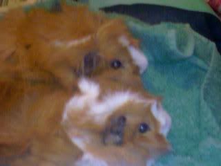 Photo-0201.jpg
