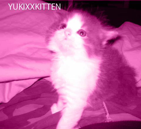User Image