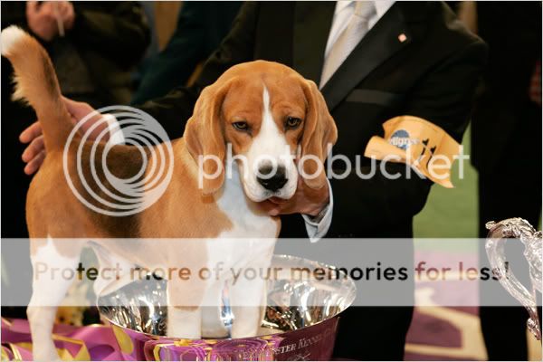 源自古希腊时代.