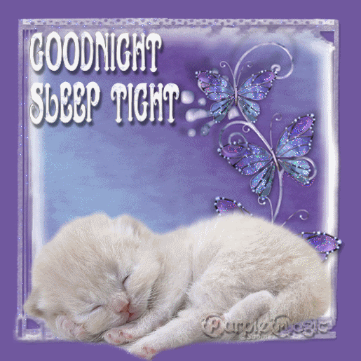 Goodnight Sleep Tight Kitten gif by angellovernumberone | Photobucket