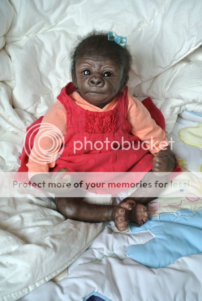 Gorilla Baby by Christine Noel from Denise Pratt Kiwi Reborn BÉBÉ 